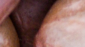 Mezcla de legumbres, semillas y frutos secos.