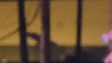Protestas frente a centro de detención migratoria en Nueva Jersey dejan más de 80 arrestos
