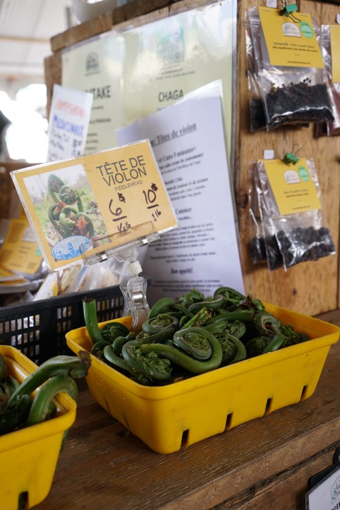 Canastas con têtes de violon frescas y un cartel escrito a mano en un puesto del mercado Jean-Talon, Montreal