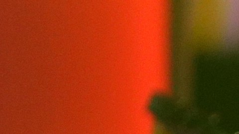 Tito El Bambino recibió un reconocimiento en los Premios Tú Música Urbana.