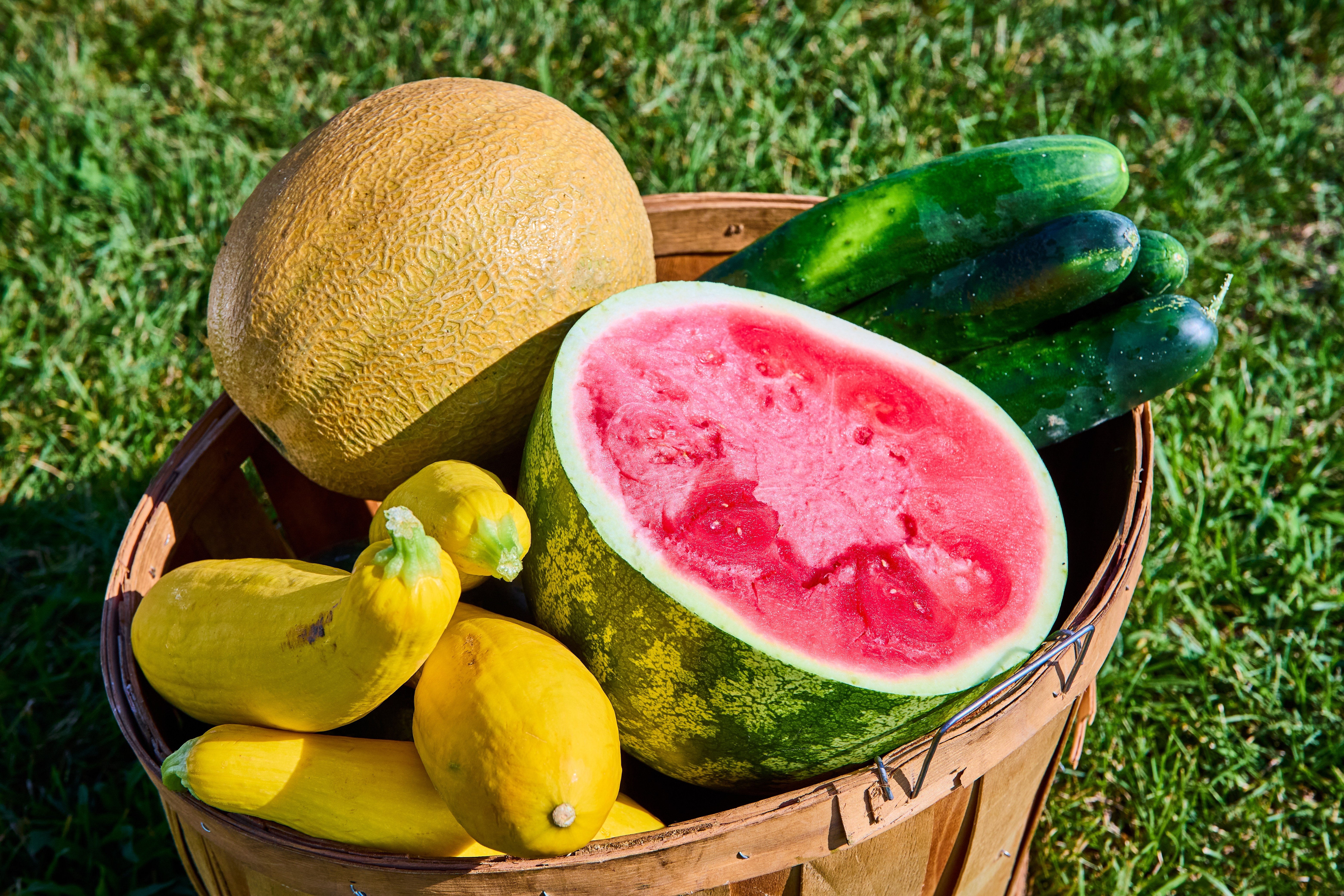 Alimentos ricos en agua