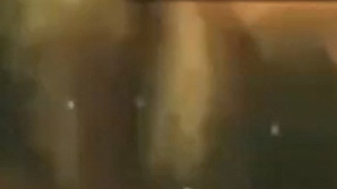Niño Guerrero, líder del Tren de Aragua, murió en un ataque letal de Estados Unidos, asegura Trump
