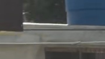 Captura de pantalla que muestra a personas haciendo saqueos a un establecimiento comercial este jueves, en La Guaira.