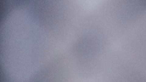 Fotografía de archivo del 15 de junio de 2026 del presidente de Estados Unidos, Donald Trump, reaccionando tras el evento UFC Freedom 250, celebrado en el Jardín Sur de la Casa Blanca en Washington (Estados Unidos).
