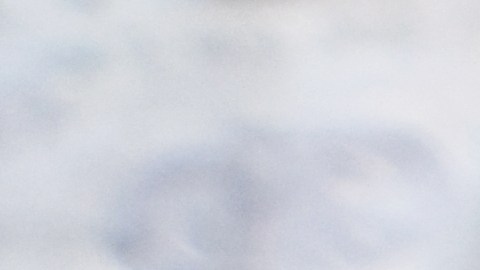 irs-reembolso-de-impuestos