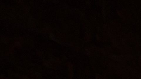 La selección de México se tomó la foto oficial para el Mundial 2026 en el Museo de Antropología.
