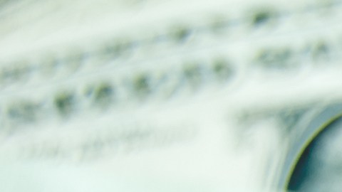 Cuando se trata de atraer dinero y riquezas, el Feng Shui maneja varios trucos que son fáciles de aplicar en casa.