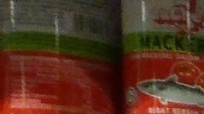 vegetales-en-lata-dollar-tree
