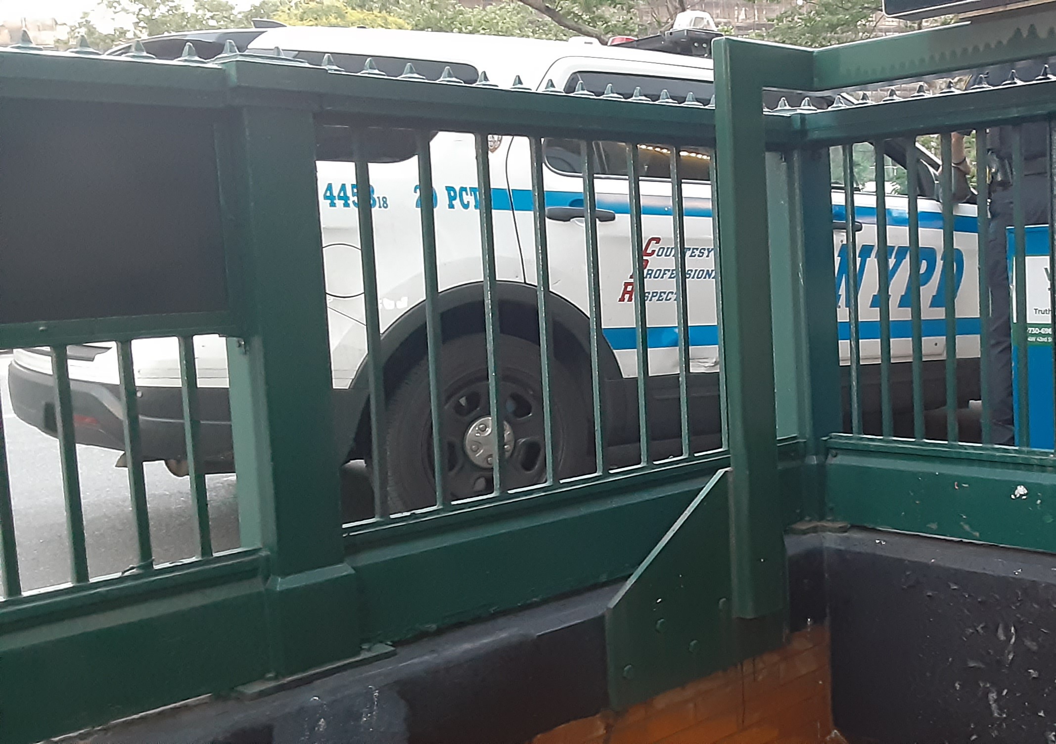 Anciana empujada a los rieles del Metro de Nueva York por ex preso en libertad condicional