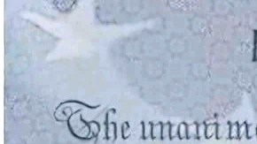 Pasaportes con imagen de Trump