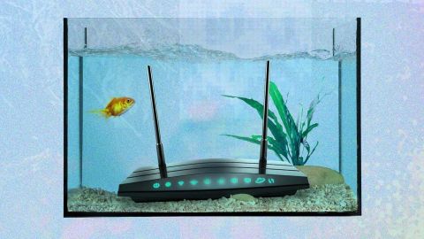 WiFi
