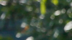 El presidente Donald Trump, a la derecha, mira el teleprompter mientras pronuncia un discurso.