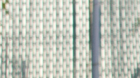 Las grabaciones fueron incluidas en documentos judiciales.