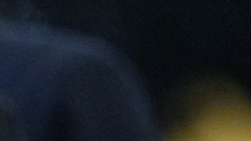 La exvicepresidenta Kamala Harris dijo que el caso de Salgado refleja las consecuencias de las políticas de ICE bajo la Administración del presidente Donald Trump.