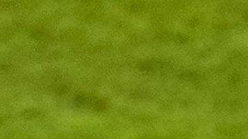 FIFA denuncia aumento de comentarios racistas e insultos en redes durante el Mundial 2026