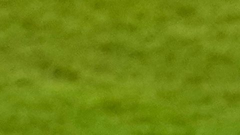 FIFA denuncia aumento de comentarios racistas e insultos en redes durante el Mundial 2026