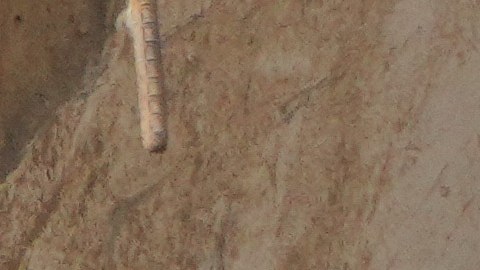 La cifra de heridos se mantuvo en 16,740, según el balance.