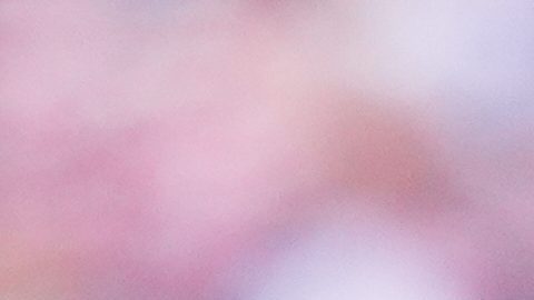 Balogun reconoce que "no estuvo involucrado" en el cambio de su tarjeta roja
