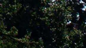 Varias personas se detienen para tomar fotografías junto al estanque reflectante del Monumento a Lincoln, parcialmente vacío.
