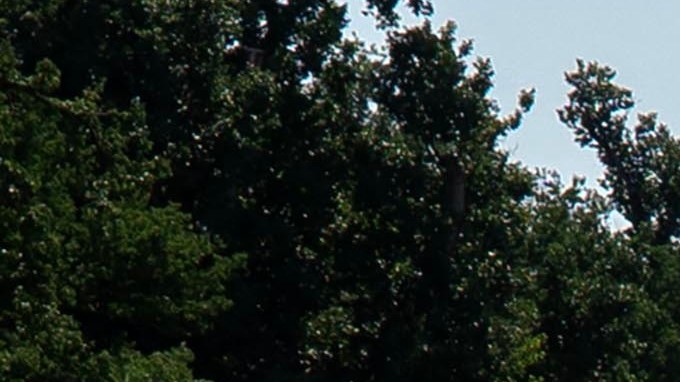 Varias personas se detienen para tomar fotografías junto al estanque reflectante del Monumento a Lincoln, parcialmente vacío.