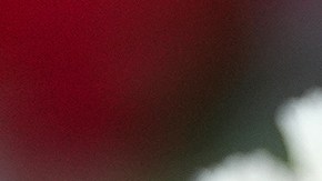 La muerte de Jesús Manuel Arenas se suma a otros casos recientes que han generado cuestionamientos sobre las actuaciones de agentes migratorios.