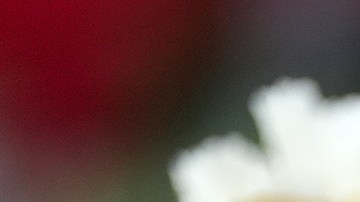 La muerte de Jesús Manuel Arenas se suma a otros casos recientes que han generado cuestionamientos sobre las actuaciones de agentes migratorios.