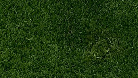 Jude Bellingham aclaró su discusión con Messi.