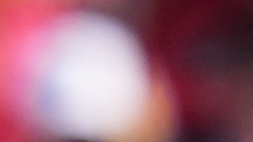 Messi y el árbitro Slavko Vincic.