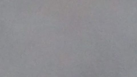 El calentamiento global, causado por la actividad humana, provoca veranos más cálidos y secos, lo que intensifica la actividad de los incendios forestales, haciéndolos más intensos, frecuentes y extensos.