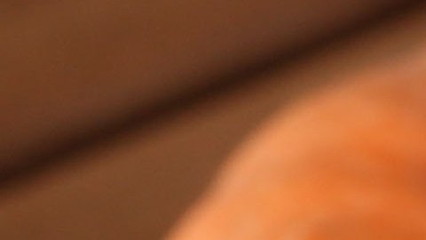 Las semillas de calabaza concentran una gran cantidad de nutrientes en una porción pequeña.