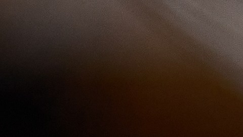 La combinación de aceite de oliva y aguacate es perfecta para tus arterias y la salud cardiovascular en general.