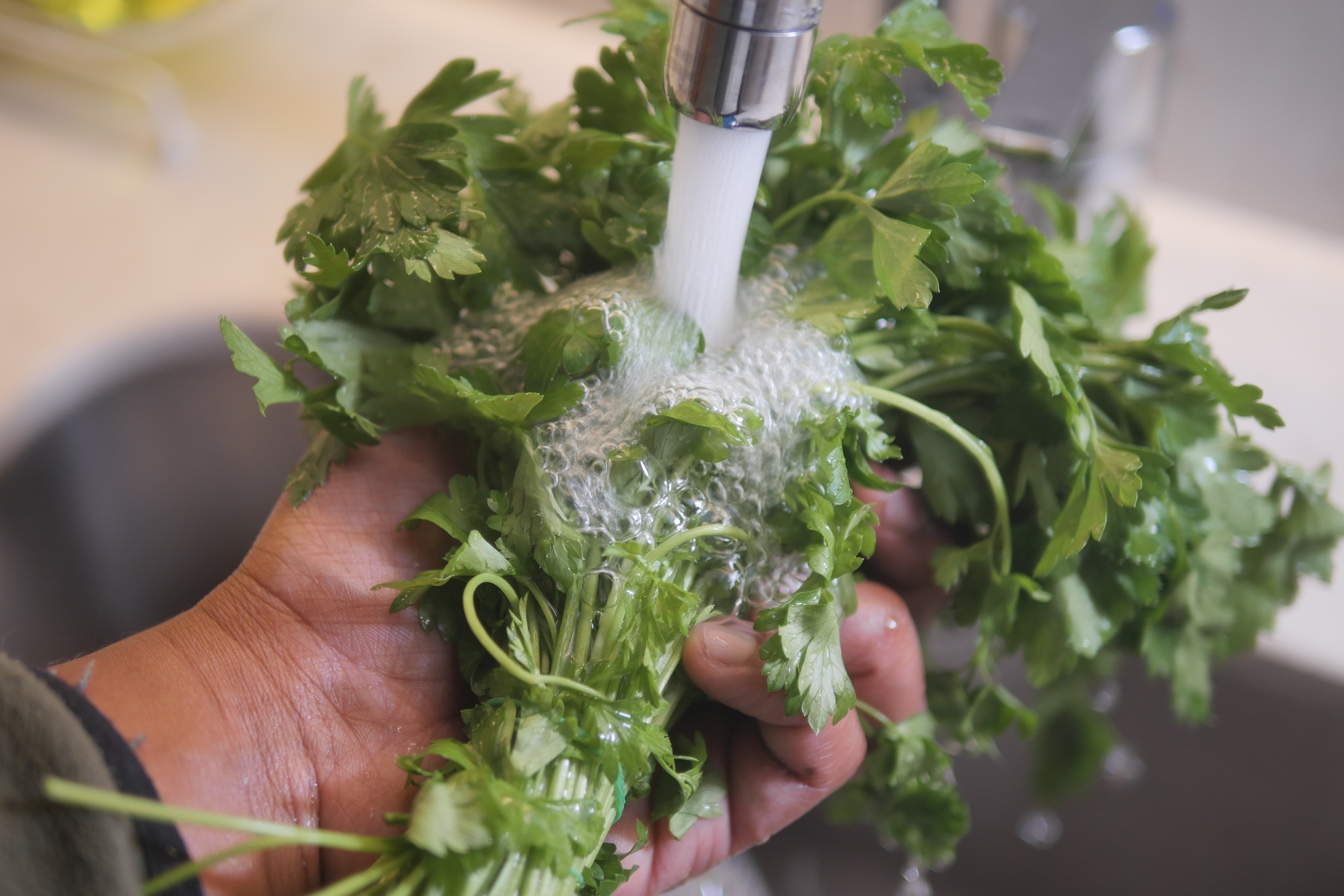FDA предупреждает о рисках при мытье кинзы: как правильно очистить зелень и сохранить её свежесть