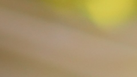 El enjuague con agua corriente fría es el primer paso clave para eliminar tierra, arena y posibles parásitos sin maltratar las hojas.