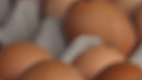 Cal-Maine Foods, Versova y Hickman's Egg Ranch fueron acusadas de coordinaron sus ofertas de compra en el mercado mayorista para manipular las cotizaciones diarias.