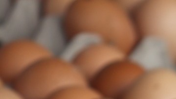 Cal-Maine Foods, Versova y Hickman's Egg Ranch fueron acusadas de coordinaron sus ofertas de compra en el mercado mayorista para manipular las cotizaciones diarias.