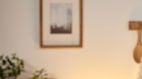 Casi la mitad de las personas de entre 18 y 29 años recibió ayuda económica de personas fuera de su hogar durante el último año y 49% aún vive con sus padres.
