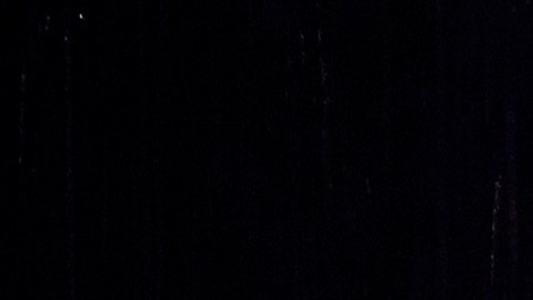 "Cats The Jellicle Ball" estará en cartelera hasta el 8 de agosto.