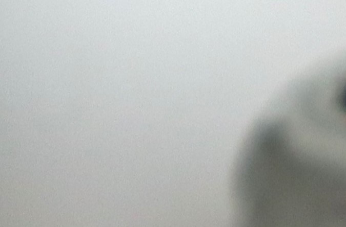 Un huevo tallado como un cerebro en medio de huevos blancos