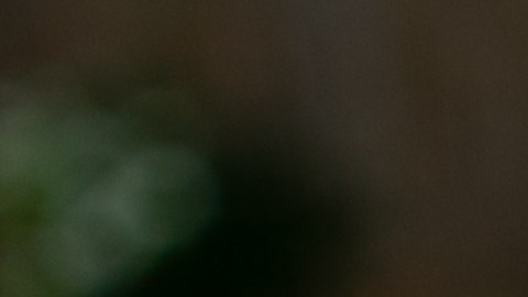 Los festejos del 4 de julio saldrán más caros.