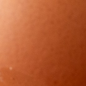 Huevos blancos y marrones frente a frente: la diferencia de precio responde al tamaño y consumo de la gallina, no a su calidad.