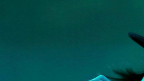 El sencillo del cantante venezolano sigue sumando reproducciones casi una década después de su lanzamiento