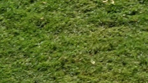 El español Víctor Muñoz (25) en acción frente al argentino Lionel Messi (10) durante la final de la Copa del Mundo de fútbol entre España y Argentina en East Rutherford, Nueva Jersey, cerca de Nueva York, el domingo 19 de julio de 2026.