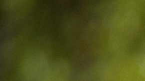 Durante los días calurosos es necesaria la hidratación constante y no esperar sentir sed.