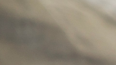 ¿Gases con olor putrefacto? No es normal. La acumulación de sustancias como putrescina y cadaverina alerta sobre un posible desequilibrio en la microbiota intestinal y problemas de inflamación.