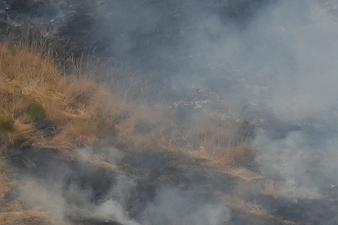 Los incendios forestales han obligado a evacuar a miles de personas.