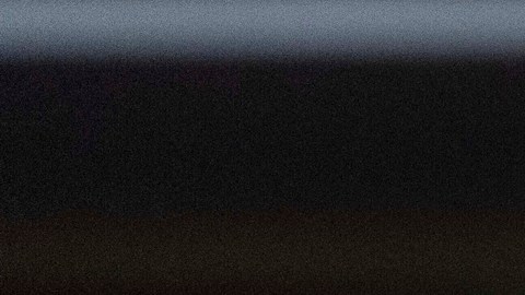 Kamala Harris aún no decide si buscará la Presidencia de Estados Unidos en 2028