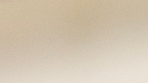 La FDA y los CDC investigan el brote multiestatal de ciclosporosis vinculado a la lechuga iceberg distribuida en cadenas de comida y supermercados.