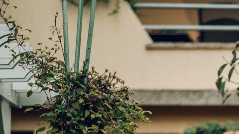 Lograr $410,000 en patrimonio neto mediano no es una cifra fortuita, sino la suma de décadas de ahorro, capital de vivienda y decisiones financieras constantes.