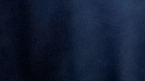 Lorenzo Salgado Araujo murió tras operativo de ICE.