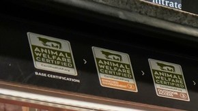 Mientras los precios de la carne se mantengan en niveles históricamente altos, las familias deberán desarrollar hábitos de compra estratégicos para ahorrar.